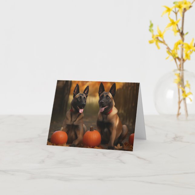 Tarjeta Cachorro Malinoi Belga Delicia de Otoño Calabaza  (flor amarilla)