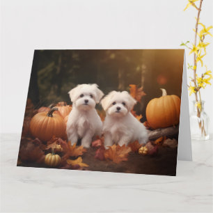 Tarjeta Cachorro Maltés Delicia de Otoño Calabaza