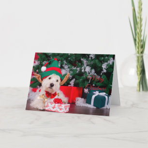 Tarjeta Cachorro navideño en traje de elfo
