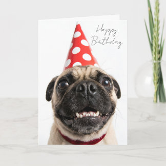 Tarjeta Cachorro Pug lindo de cumpleaños con sombrero rojo