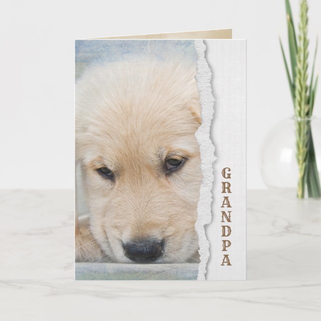 Tarjeta cachorro recuperador de oro para el abuelo (Anverso)
