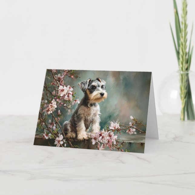 Tarjeta Cachorro Schnauzer entre flores de cerezo primaver (Anverso)