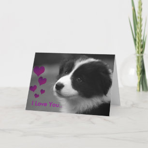 Tarjeta Cachorro, te amo