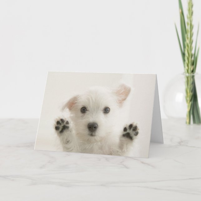 Tarjeta Cachorro Westie Adorable (Anverso)
