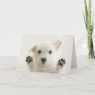 Tarjeta Cachorro Westie Lindo