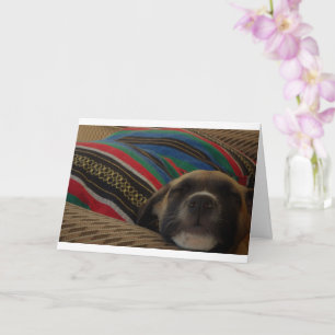Tarjeta Cachorro y cojín