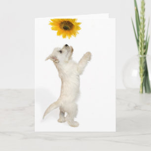 Tarjeta Cachorro Y Girasol