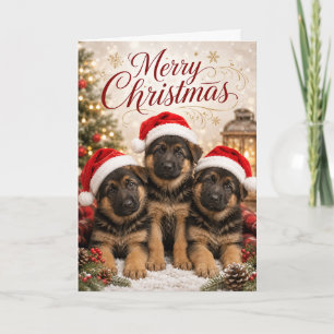 Tarjeta Cachorros alemanes lindos Cachorros Merr Christmas