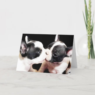 Tarjeta Cachorros de bulldog de Francia