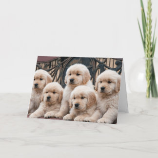 Tarjeta Cachorros de Golden Retriever