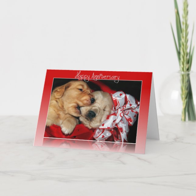Tarjeta Cachorros de Golden Retriever por aniversario (Anverso)