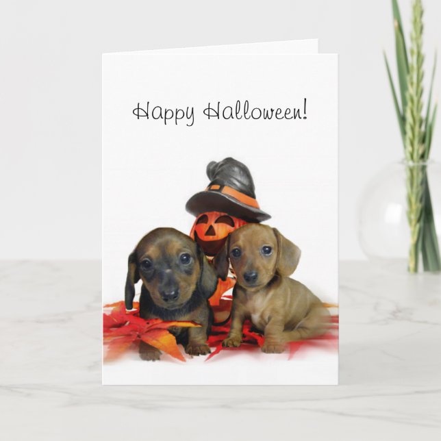 Tarjeta cachorros de Halloween Dachshund (Anverso)