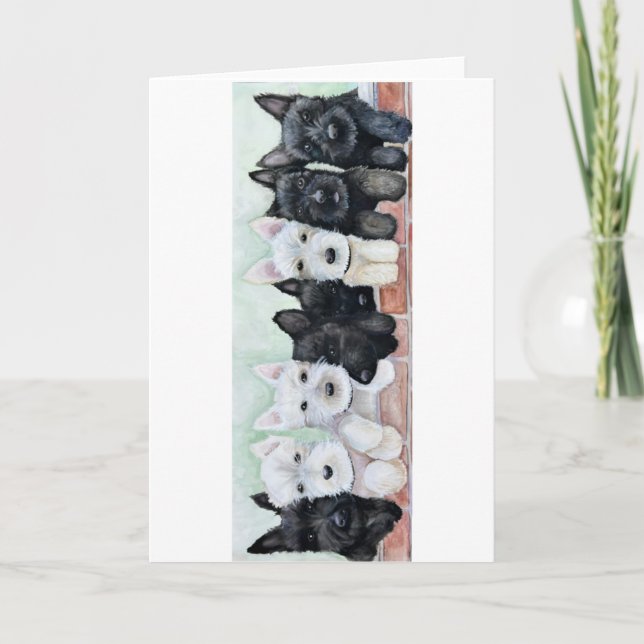 Tarjeta Cachorros Scottie (Anverso)