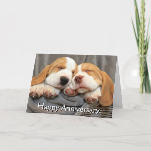 Tarjeta Cachorros soleados