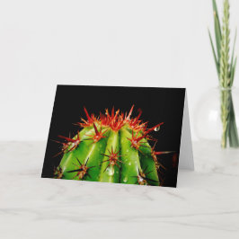 Tarjeta Cactus