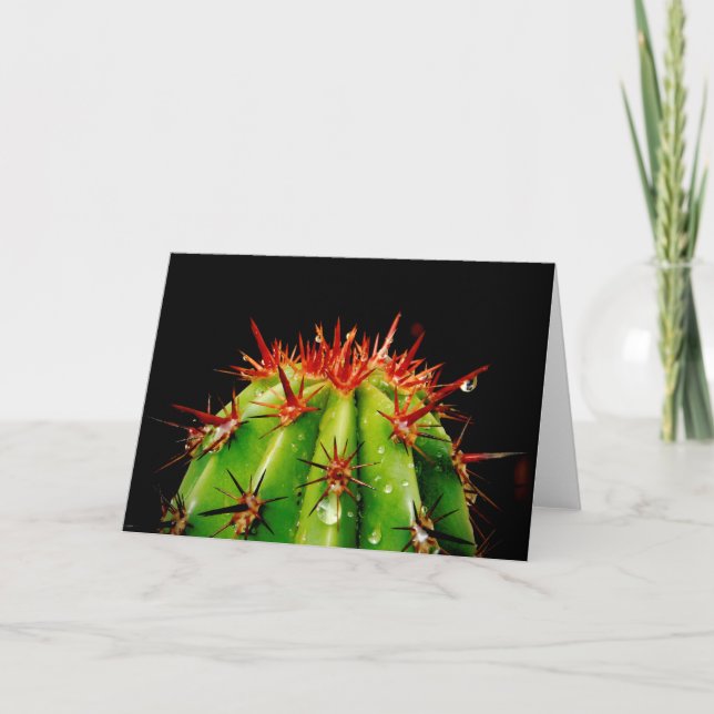Tarjeta Cactus (Anverso)