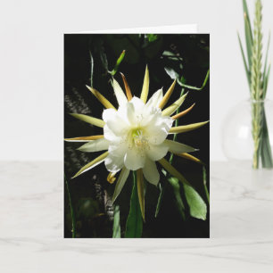 Tarjeta Cactus Bloom Card