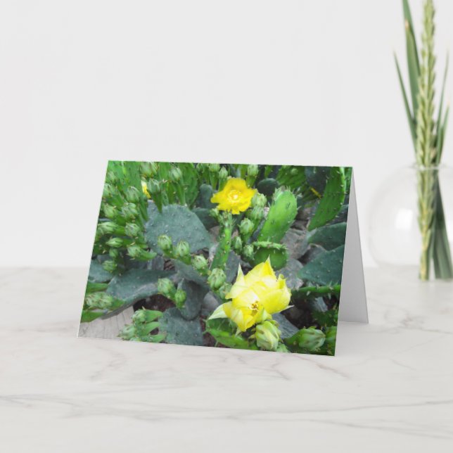 Tarjeta Cactus Blooms Full Bleed Blank (Anverso)