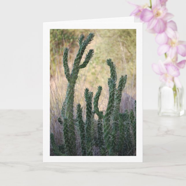 Tarjeta Cactus de caña salvaje (Orquídea)