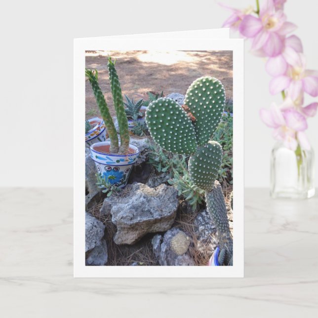Tarjeta Cactus de oidos de conejo y la planta de cactus de (Orquídea)