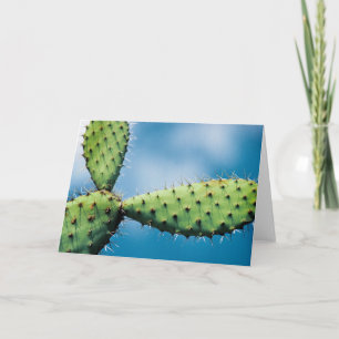 Tarjeta Cactus de Prickley