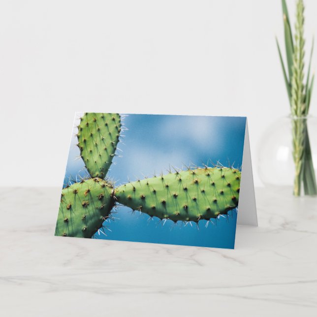 Tarjeta Cactus de Prickley (Anverso)