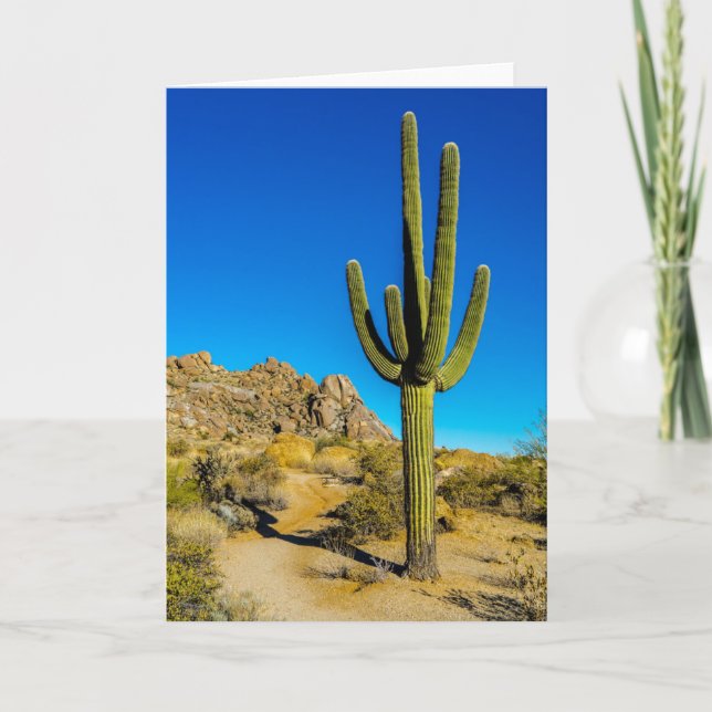 Tarjeta Cactus derecho (Anverso)