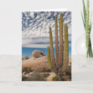Tarjeta Cactus en el desierto