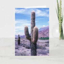 Tarjeta Cactus en la provincia de Jujuy, al norte de Argen