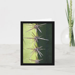 Tarjeta Cactus espinoso cerrar Pegatina vertical