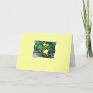 Tarjeta Cactus florece en el saludo en blanco amarillo