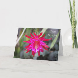 Tarjeta Cactus flower Birthday Card