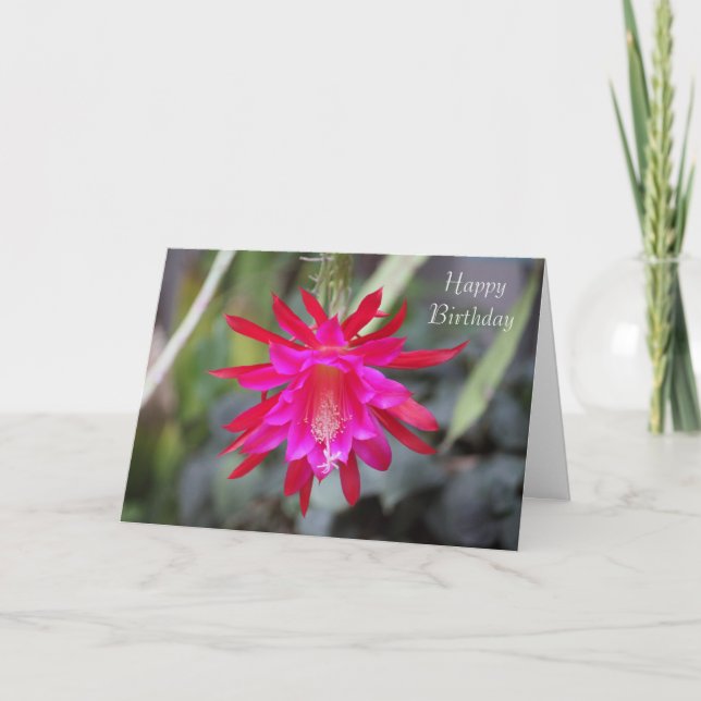 Tarjeta Cactus flower Birthday Card (Anverso)