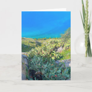 Tarjeta Cactus Nafplion Grecia a orillas del mar