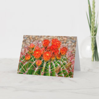 Tarjeta Cactus Notecard - Blooms de Arizona