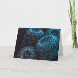 Tarjeta Cactus oscuro