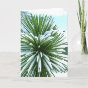 Tarjeta Cactus Snowy