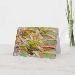 Tarjeta Cactus Succulum Art Note Card