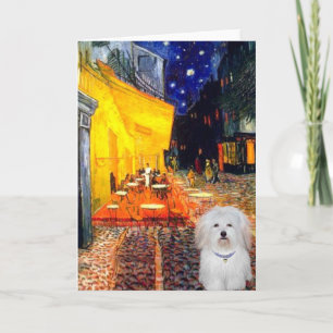 Tarjeta Cafe - Coton de Tulear 4b