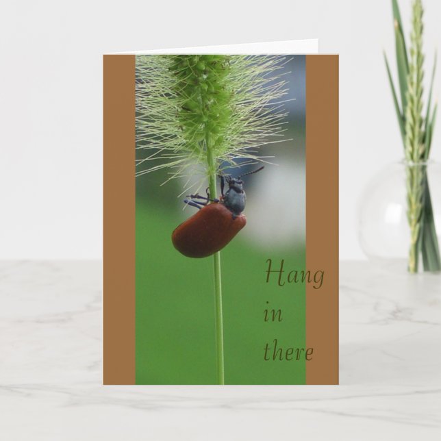 Tarjeta Caída adentro allí (Anverso)