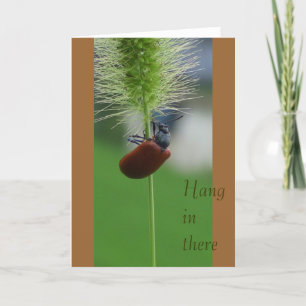 Tarjeta Caída adentro allí