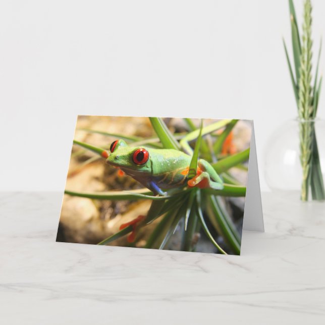 Tarjeta ¡Caída adentro allí! (Anverso)