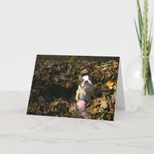 Tarjeta Caída de Martha