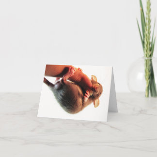 Tarjeta Caída en allí rata