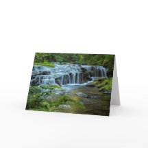 Caídas 4 de la repisa