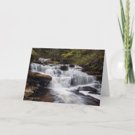 Tarjeta Caídas de Delaware - otoño 2018