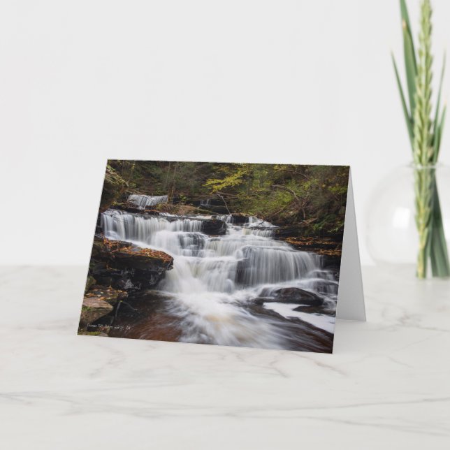 Tarjeta Caídas de Delaware - otoño 2018 (Anverso)