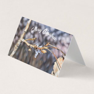 Tarjeta Caídas De Hielo