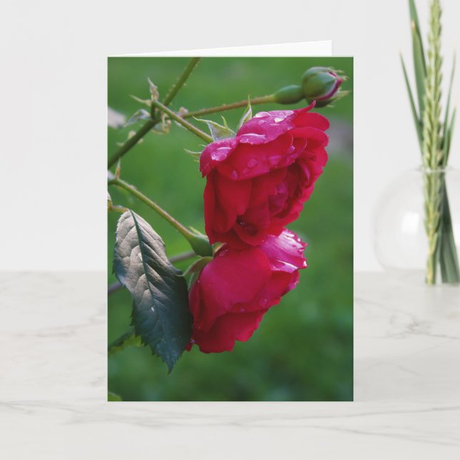 Tarjeta Caídas de lluvia (Anverso)