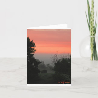 TARJETA CAÍDAS EN EL AIRE